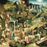 Fleet Foxes Image