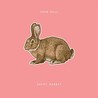 Happy Rabbit Image