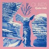 Oyster Cuts Image