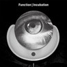 Incubation Image
