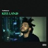 Kiss Land Image