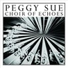 Choir of Echoes Image