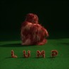 LUMP Image