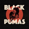 Black Pumas Image