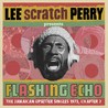 Flashing Echo: Lee 