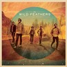 The  Wild Feathers Image