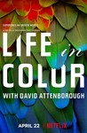Life in Color With David Attenborough: Season 1