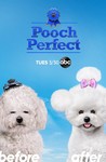 Pooch Perfect