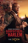 Godfather of Harlem: Season 1