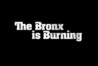 The Bronx Is Burning: Season 1