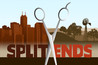 Split Ends Image
