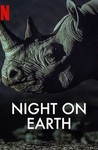 Night on Earth