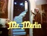 Mr. Merlin