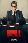 Bull (2016)