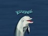 Flipper