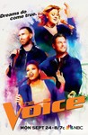 The Voice Image